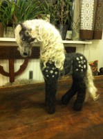 Tovad häst, apelkastad