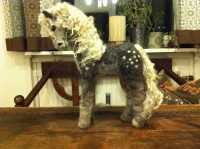 Tovad häst, vilding